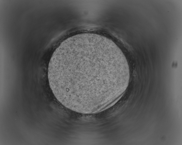 X0000089381447200707131648