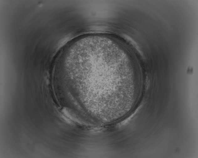 X0000089381449200707131648