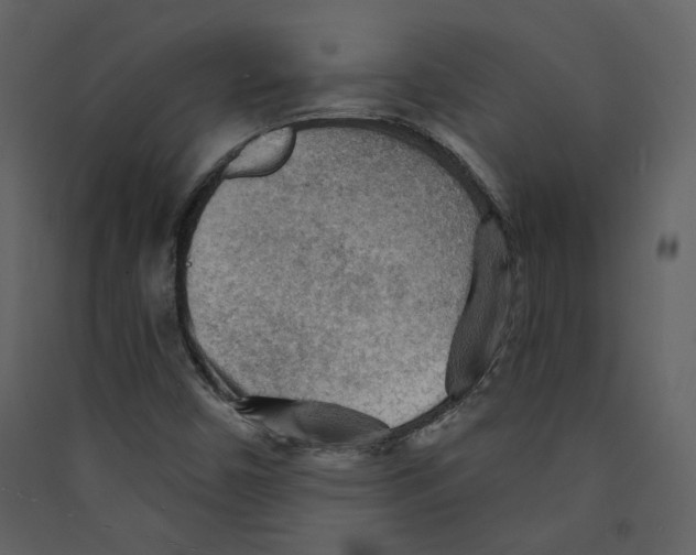 X0000089381450200707131648