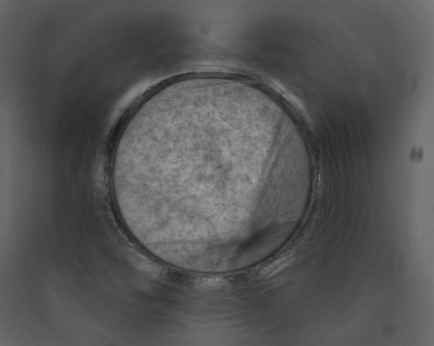 X0000089381454200707131648