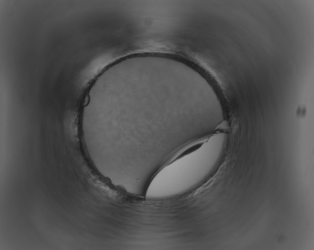 X0000089381455200707131648