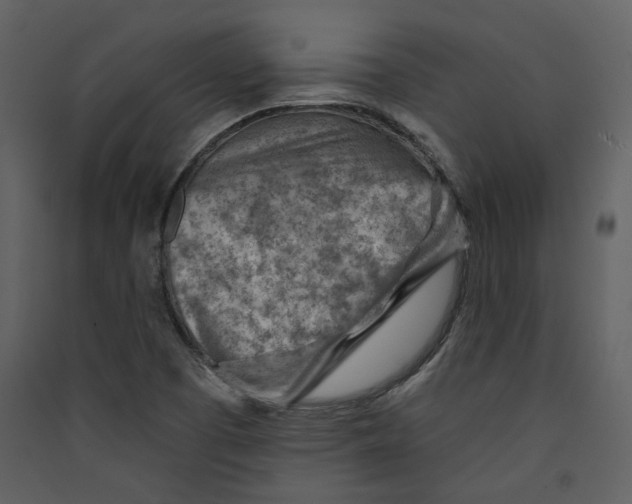 X0000089381457200707131648