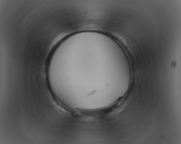 X0000089381458200707131648