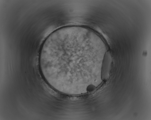 X0000089381459200707131648