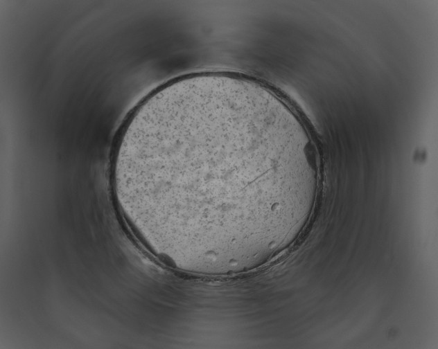 X0000089381460200707131648