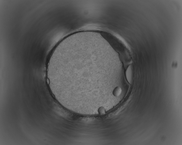 X0000089381461200707131648