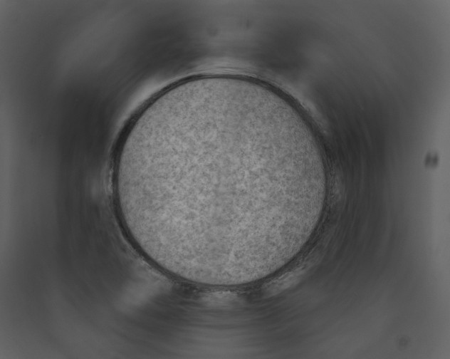 X0000089381462200707131648