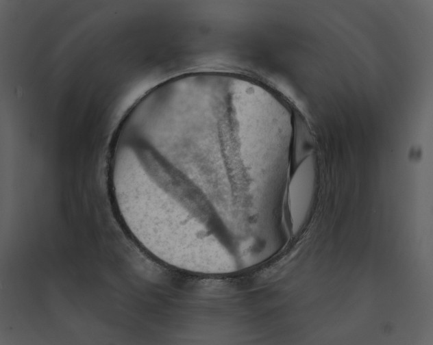 X0000089381463200707131648