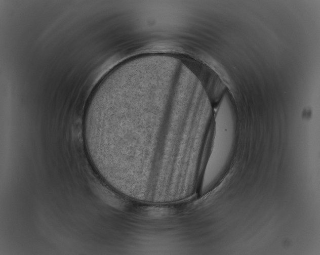 X0000089381465200707131648