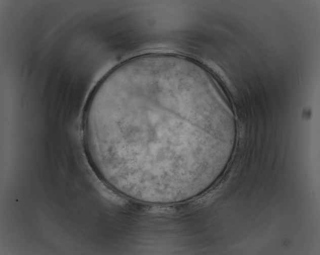 X0000089381466200707131648