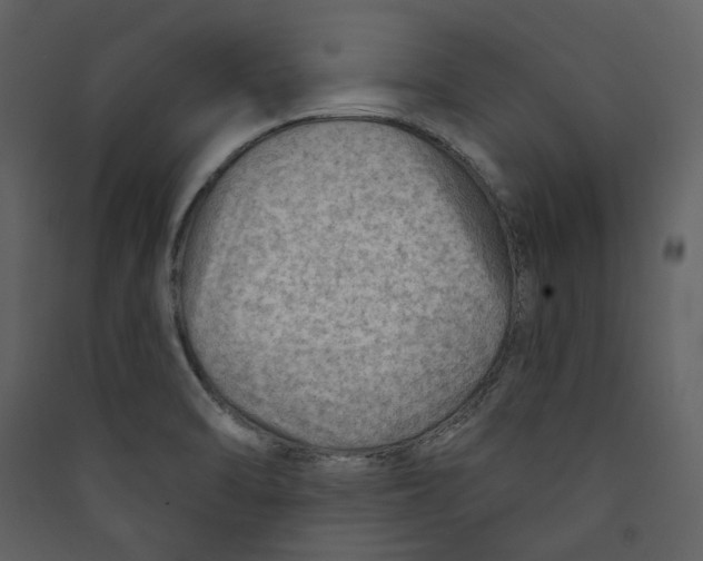 X0000089381470200707131648