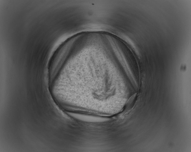 X0000089381472200707131648