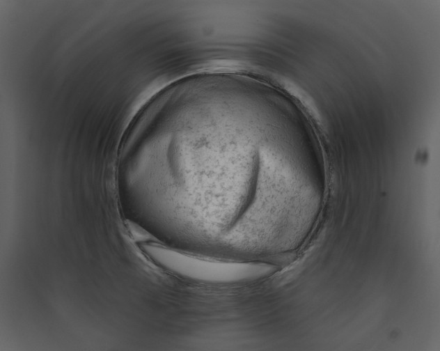 X0000089381473200707131648