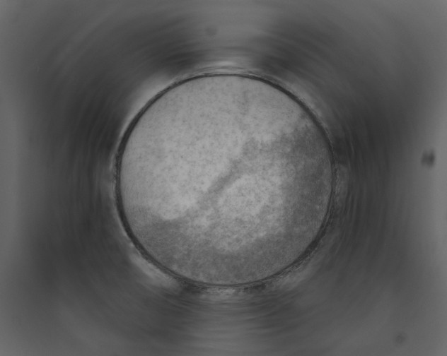 X0000089381474200707131648