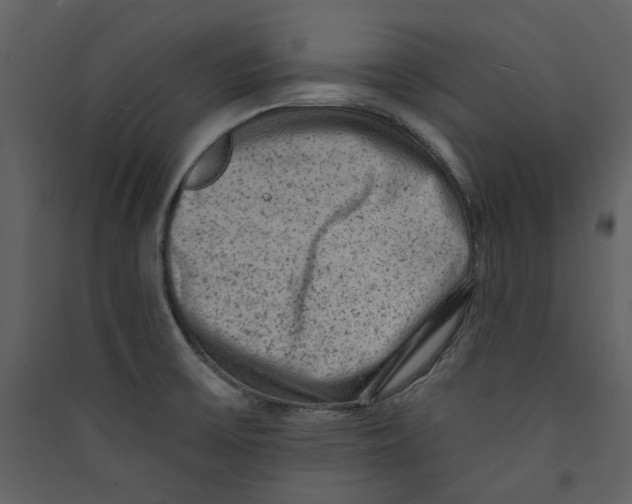 X0000089381475200707131648