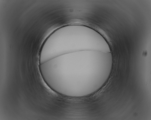 X0000089381476200707131648