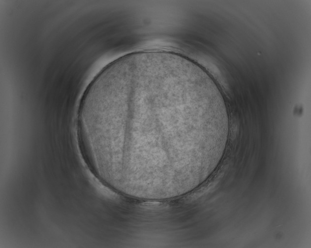 X0000089381478200707131648