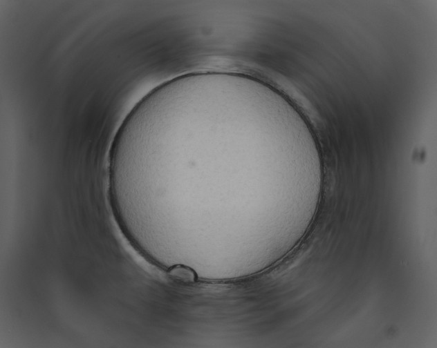 X0000089381479200707131648