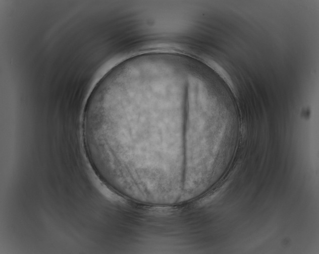 X0000089381482200707131648