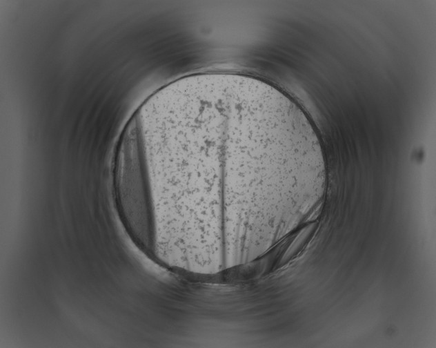 X0000089381483200707131648