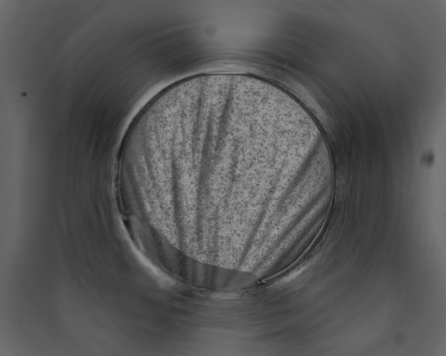 X0000089381484200707131648