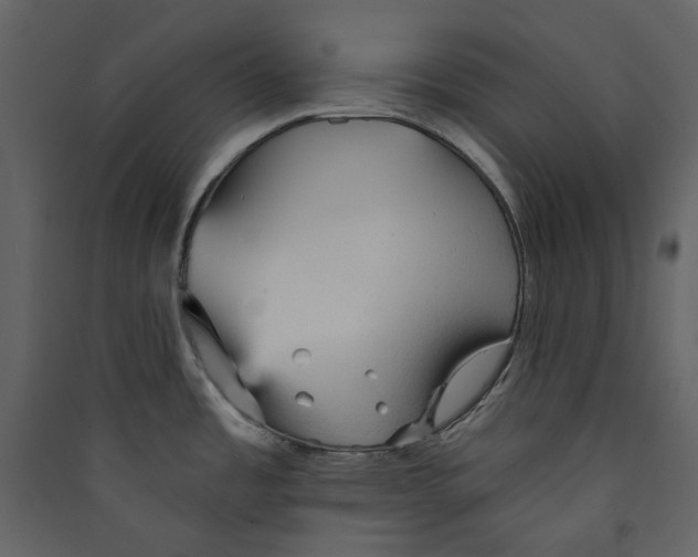 X0000089381485200707131648