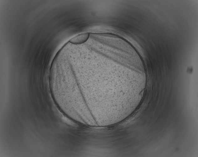 X0000089381486200707131648