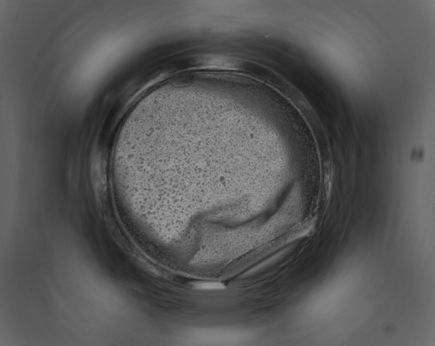 X0000089381487200707131648