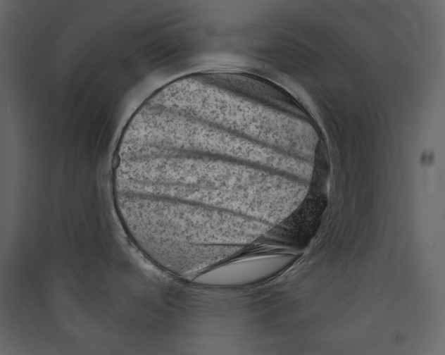 X0000089381488200707131648