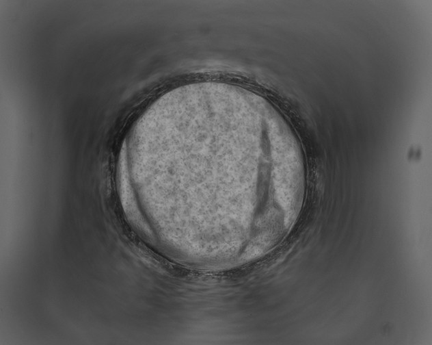 X0000089381493200707131647