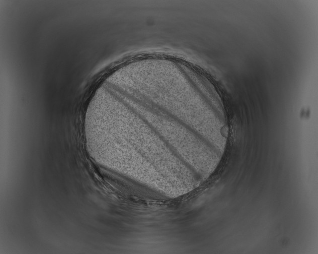 X0000089381494200707131647