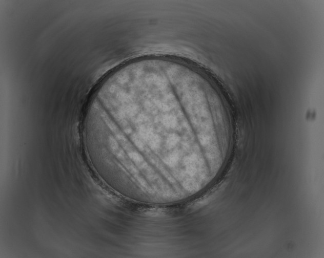 X0000089381497200707131647