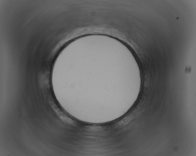 X0000089381499200707131647