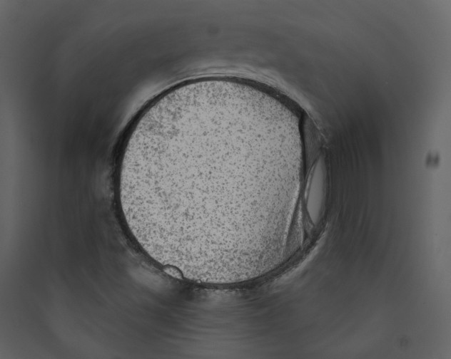 X0000089381501200707131647