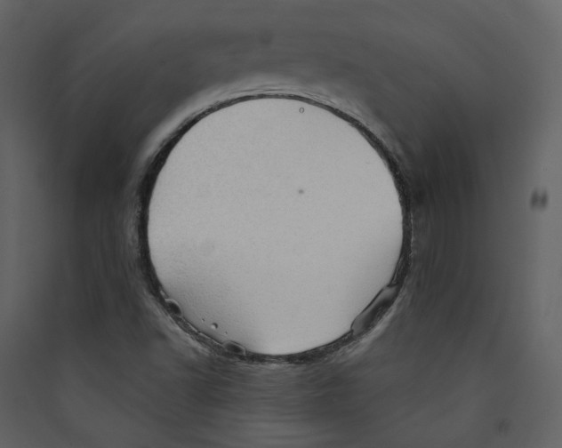 X0000089381502200707131647