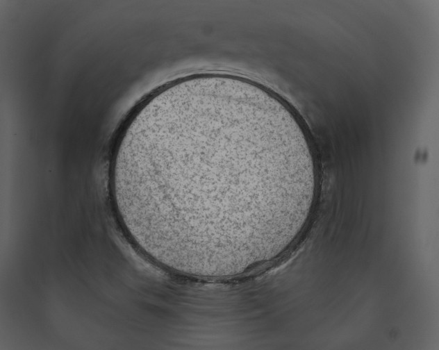 X0000089381503200707131647