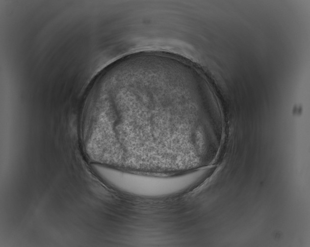 X0000089381505200707131647