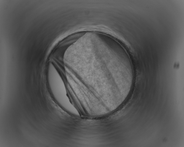 X0000089381506200707131647