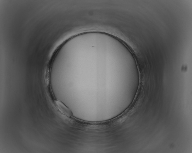 X0000089381510200707131647