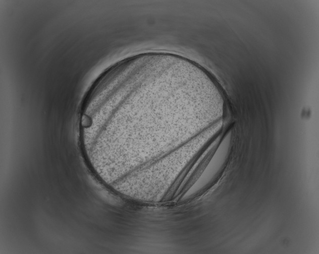 X0000089381511200707131647