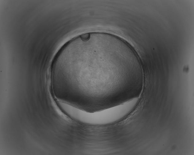 X0000089381515200707131648