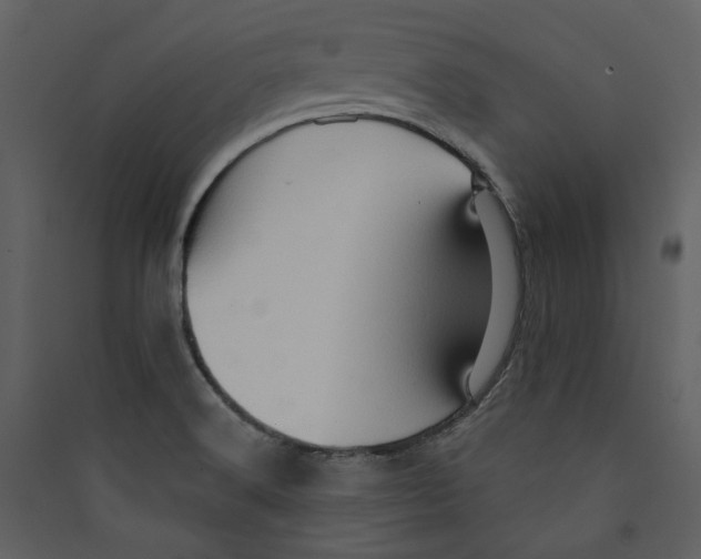 X0000089381516200707131648