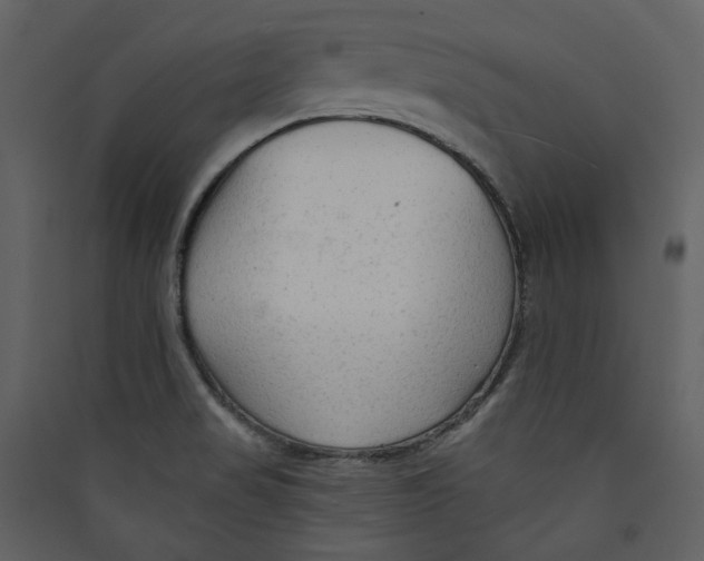 X0000089381517200707131648