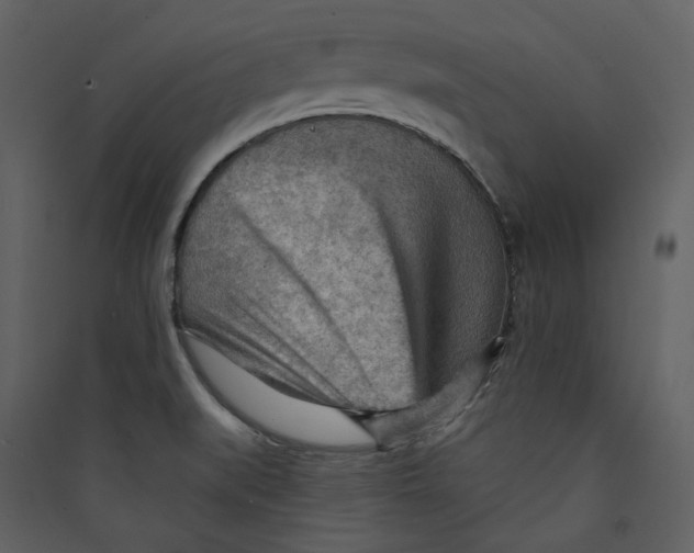 X0000089381519200707131648