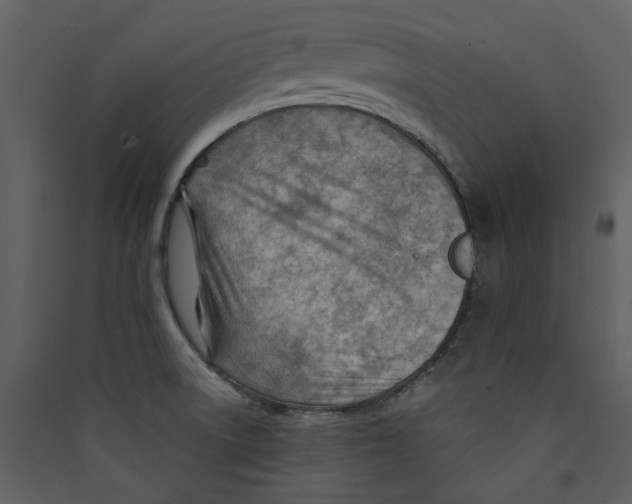 X0000089381522200707131648