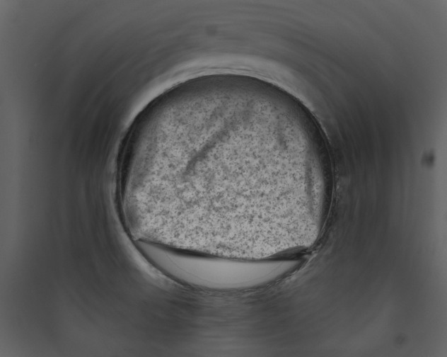 X0000089381523200707131648