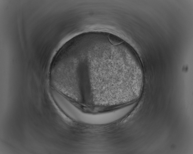 X0000089381525200707131648