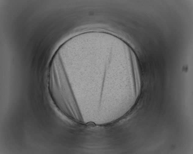 X0000089381526200707131648