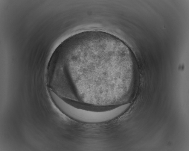 X0000089381527200707131648