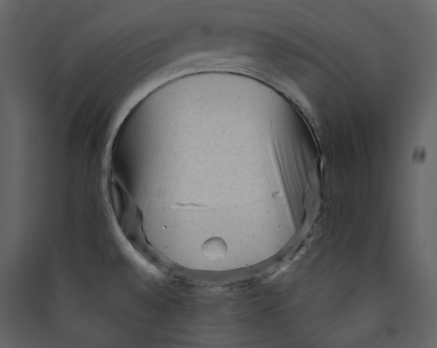 X0000089381528200707131648